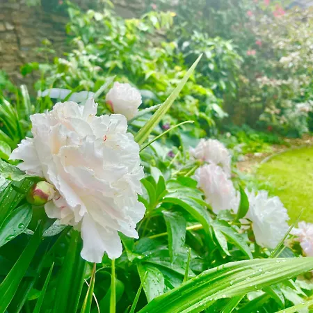 Апартаменты Le Loft Du Pre - Maison D'architecte -